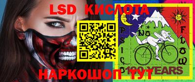 винт Владимир