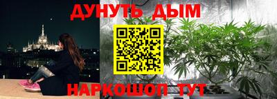 ешки Владивосток