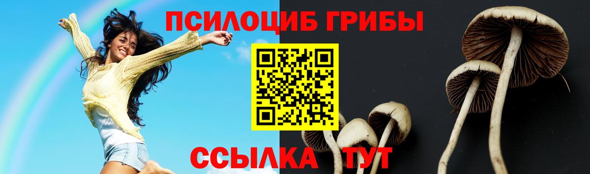 где купить наркотик  Галлюциногенные грибы MAGIC MUSHROOMS  Киселёвск  Вход с VPN  Псилоцибиновые грибы Magic Shrooms 